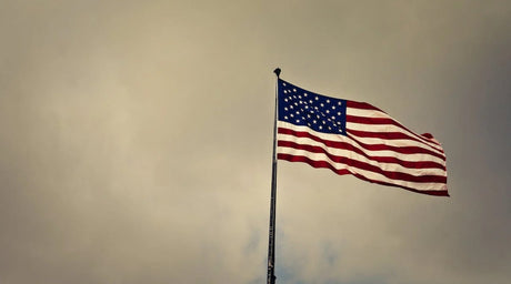 Is The Pledge of Allegiance Mandatory? - Libertarian Country