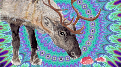 Psychedelic Drugs and the Flying Reindeer - Libertarian Country