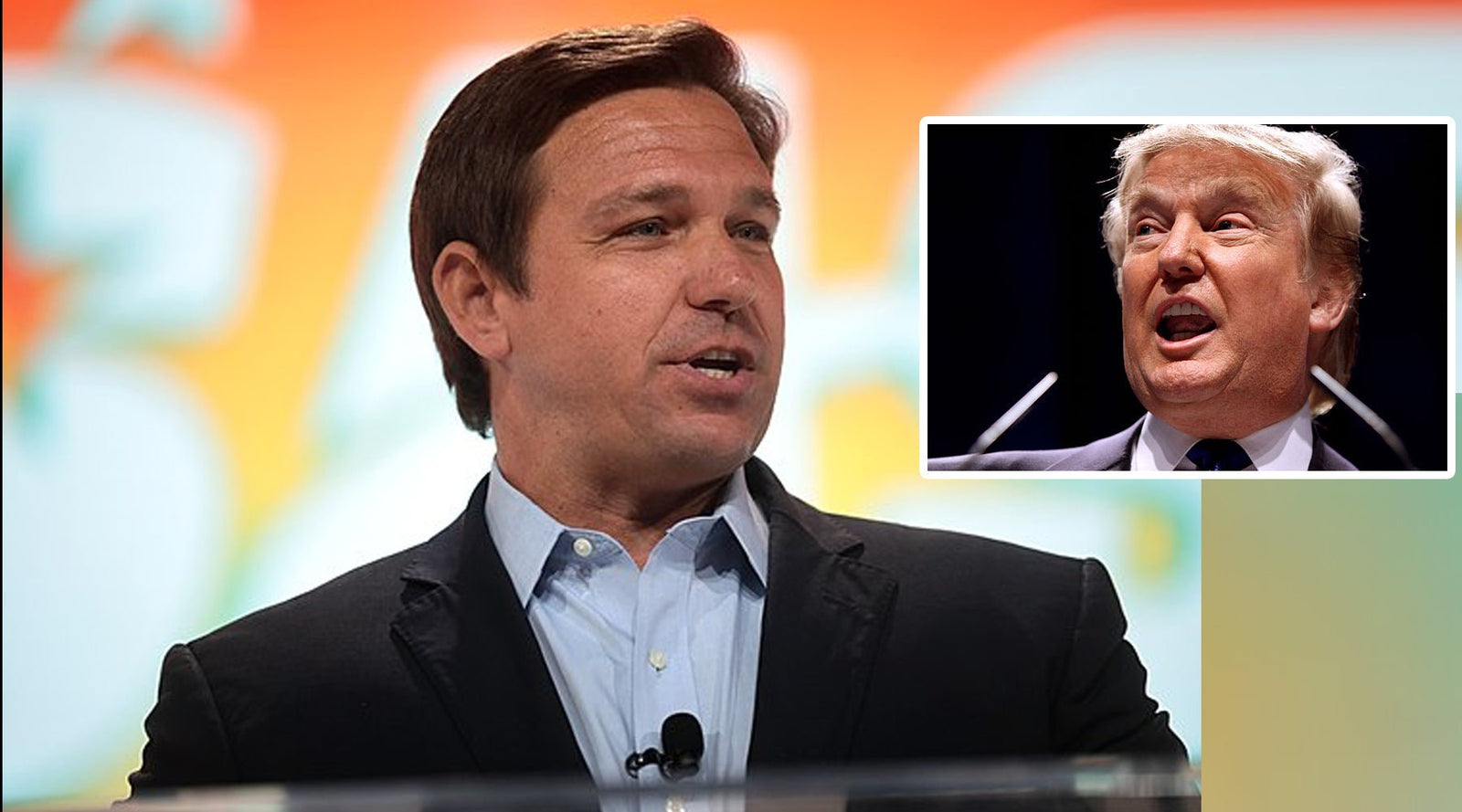 Trump Fans Going All In For DeSantis - Libertarian Country