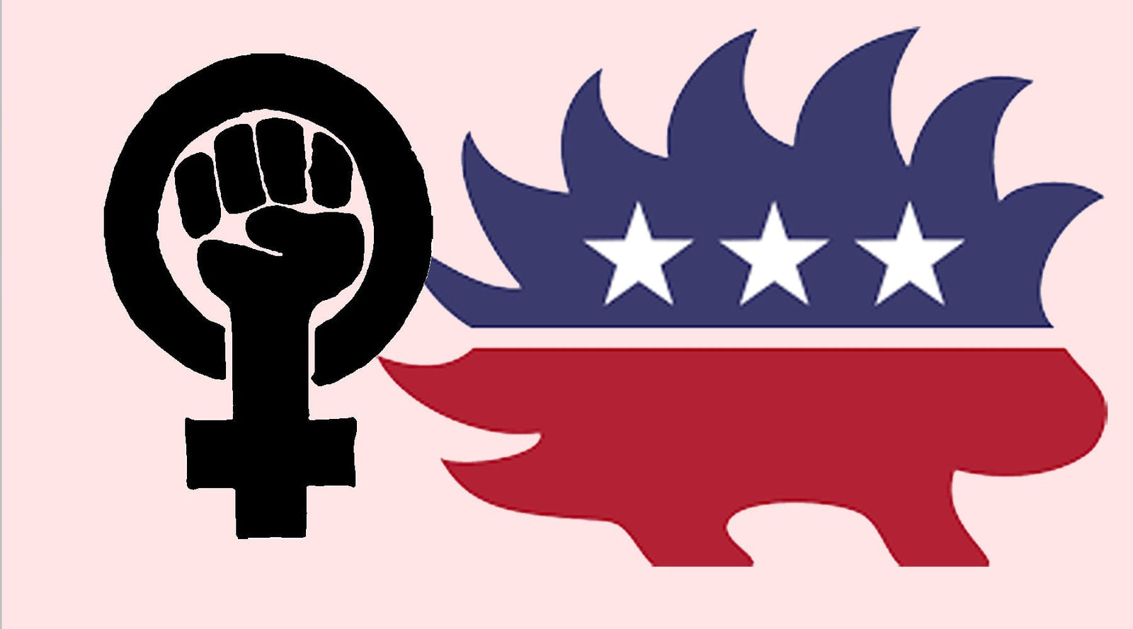 What is Libertarian Feminism? - Libertarian Country