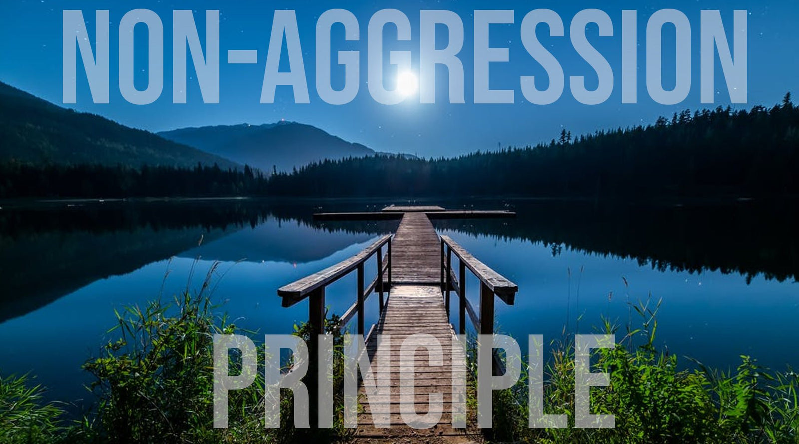 What is The Non-Aggression Principle? - Libertarian Country