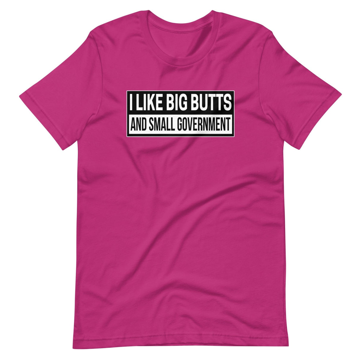 I Like Big Butts and Small Government Shirt