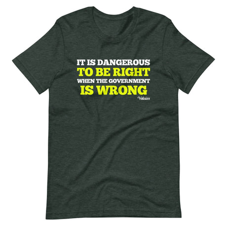 It Is Dangerous To Be Right When The Government is Wrong Shirt