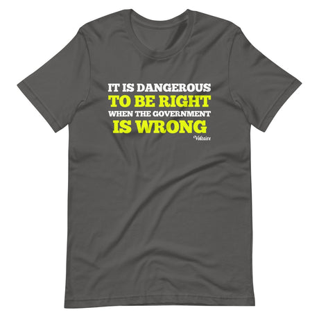 It Is Dangerous To Be Right When The Government is Wrong Shirt