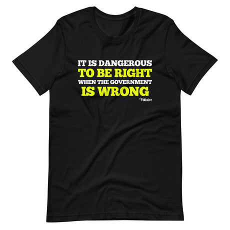 It Is Dangerous To Be Right When The Government is Wrong Shirt