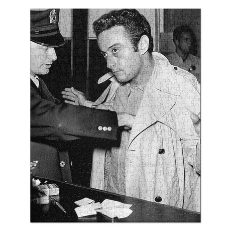 Lenny Bruce Arrest Puzzle