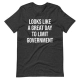 Looks Like a Great Day to Limit Government Shirt