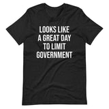 Looks Like a Great Day to Limit Government Shirt