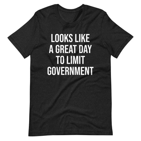 Looks Like a Great Day to Limit Government Shirt