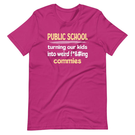 Public School Turning Our Kids Into Weird Commies Shirt