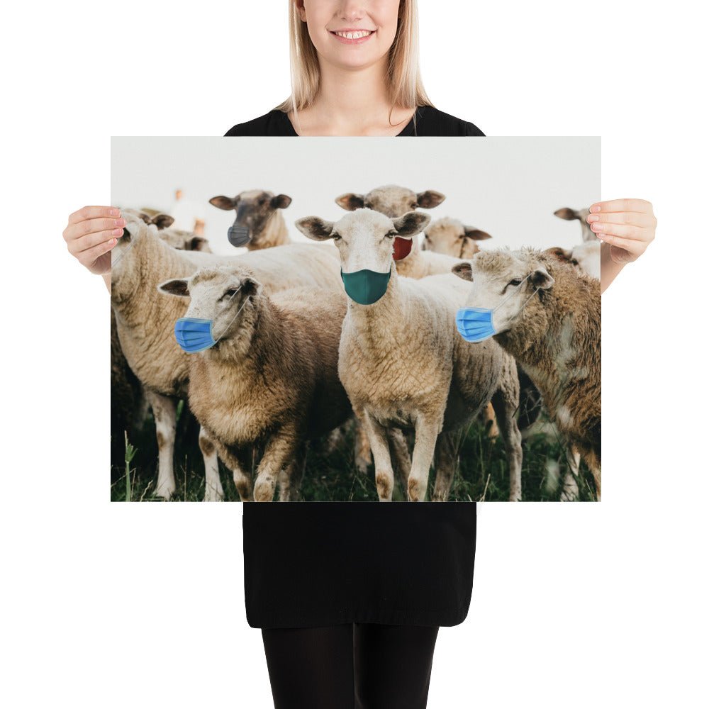 Sheep in Face Masks Poster