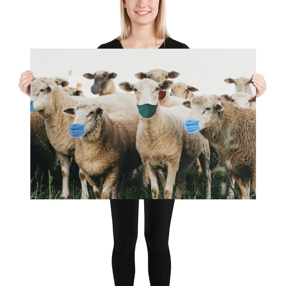 Sheep in Face Masks Poster