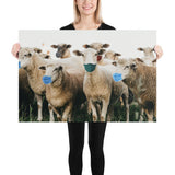 Sheep in Face Masks Poster