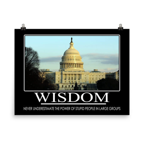 U.S. Capitol Wisdom Demotivational Poster