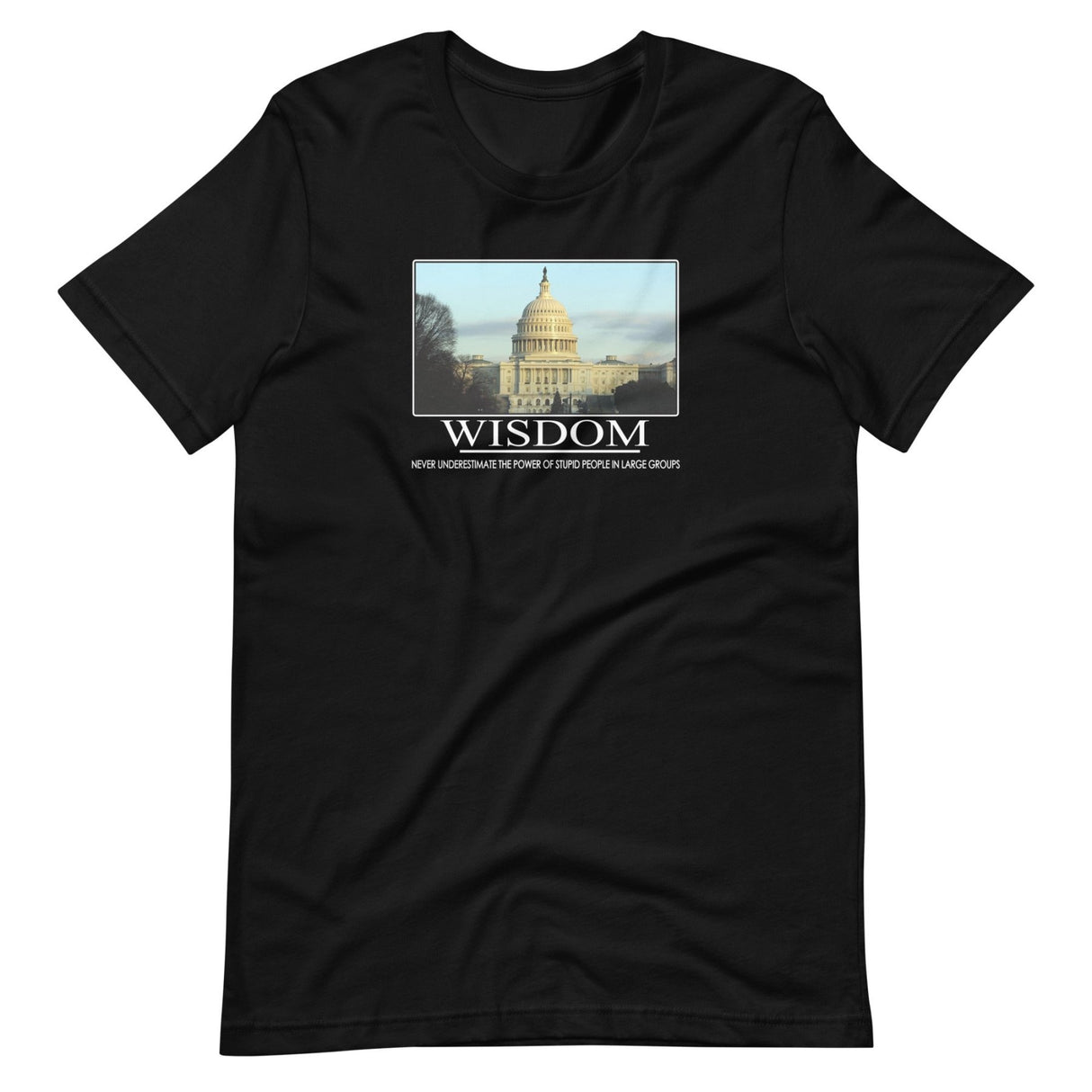 Wisdom U.S. Capitol Shirt