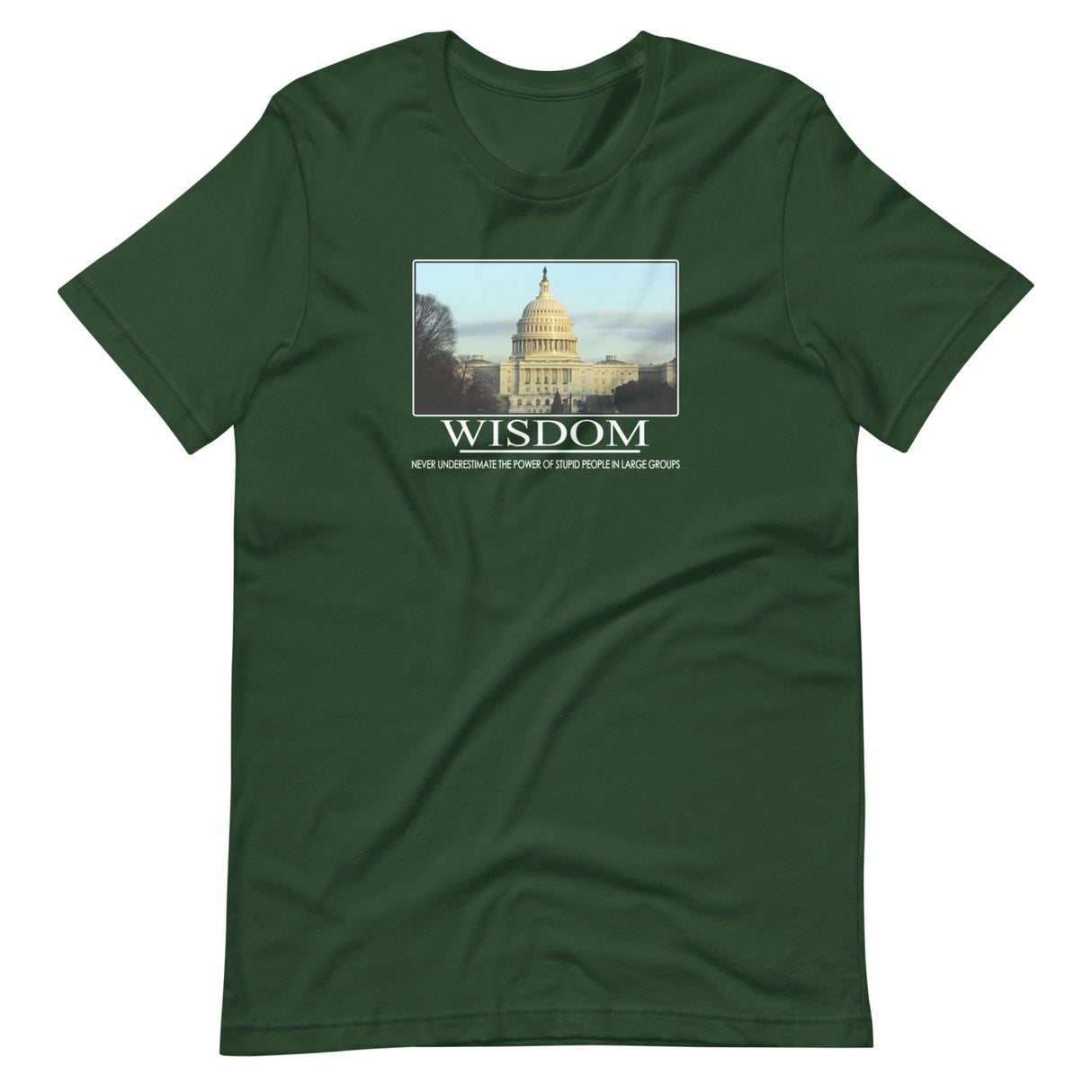 Wisdom U.S. Capitol Shirt